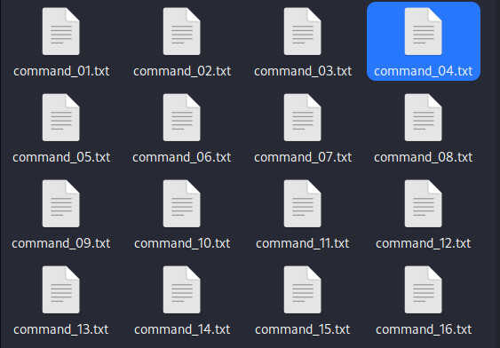 The files containing extracted commands